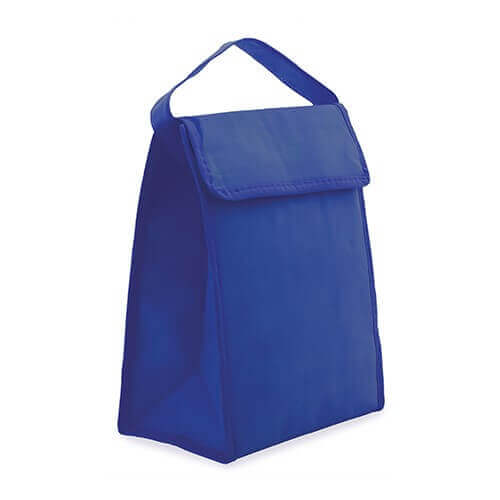 light blue clor cooler bag